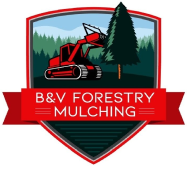 B&V Forestry Mulching